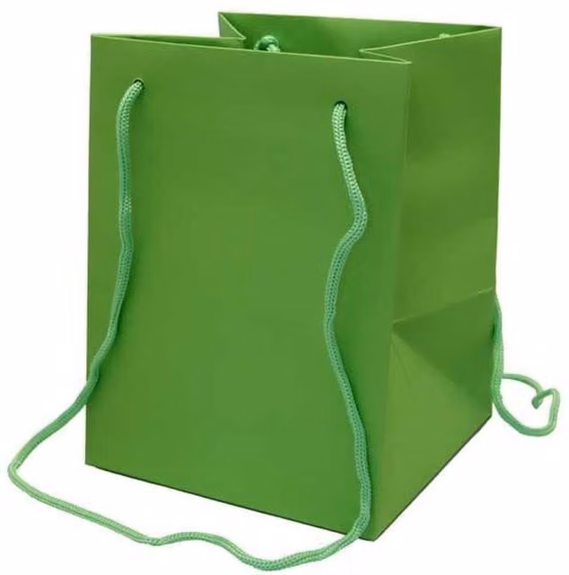 Kingsbury Gifts Green Paper Hand Tie Gift Bag, Height: 25 cm
