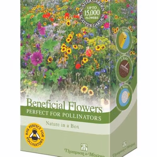 Thompson & Morgan Flower Garden Wildflower Seed Scatter Pack for Pollinators, Multicolour, 2 Units