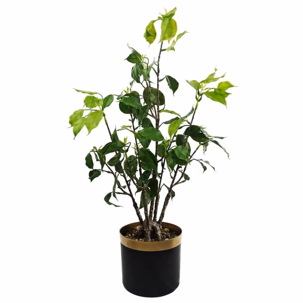 Botanik Artificial Bonsai Tree, Green, H 60 cm x W 30 cm x D 30 cm – 3