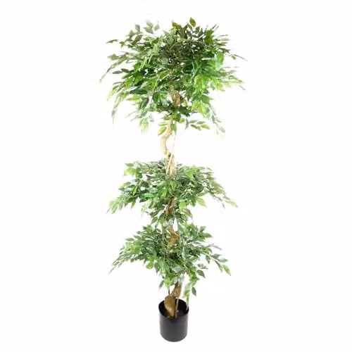 Botanik Leaf 180cm Artificial Twisted Fruticosa Ficus Tree Triple Ball Topiary in Green and Black