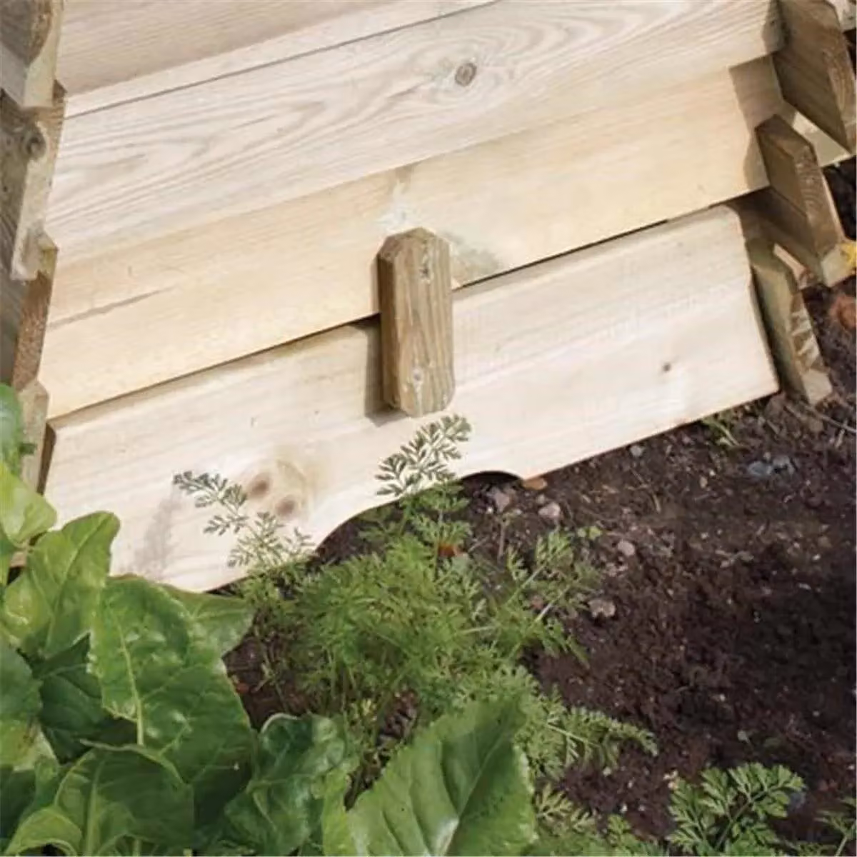 Cheshire Deluxe Beehive Composter Planter in Light Oak Wood – 4
