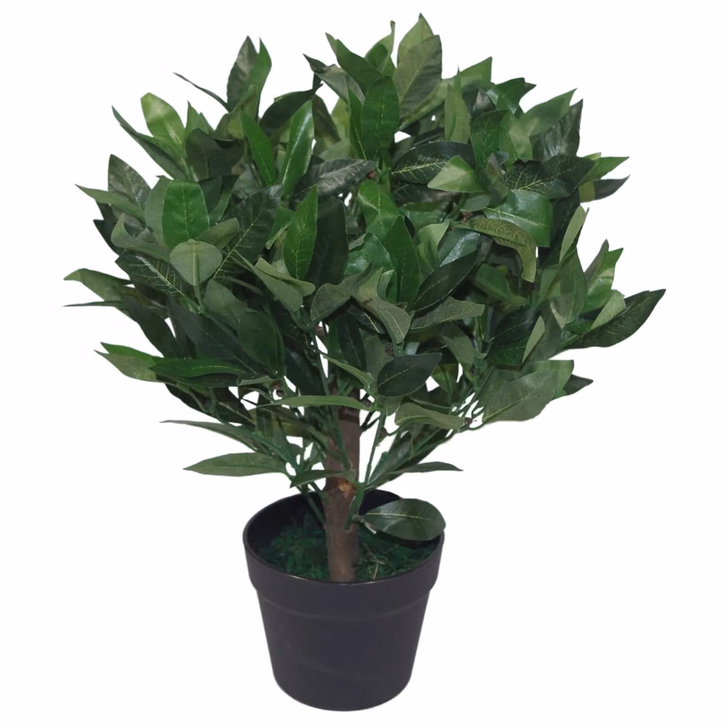 Leaf Design UK Pair of Artificial Green Bay Laurel Topiary Ball Trees, Height: 50 cm – 5
