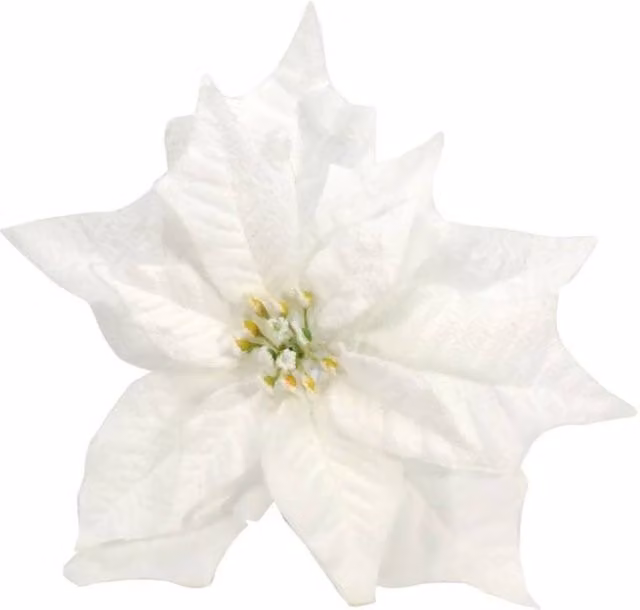 KDMD Snowy White Poinsettia with Clip, 2 Pack, Dia: 25 cm