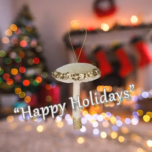 VFM e-Store Green Velvet Hanging Mushroom Christmas Decoration, W: 13 cm, H: 10 cm – 3