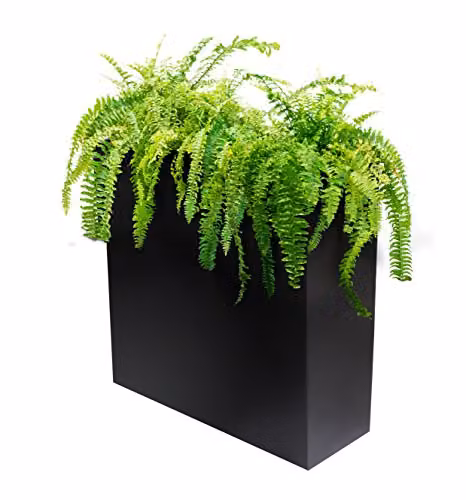 Primrose Large Galvanised Steel Trough Planter with Plastic Insert, Black, H: 60 cm, W: 95 cm – 5