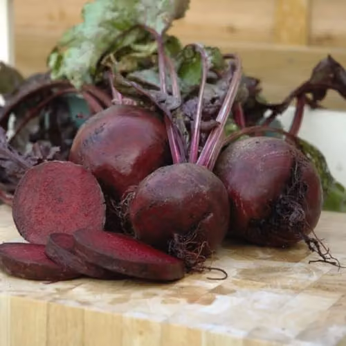 Thompson & Morgan Beetroot Boltardy Seeds, Sweet and Bolt-Resistant Variety, 3 x 300 Seeds