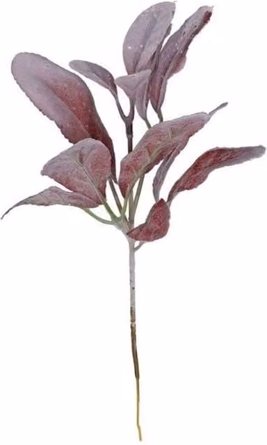 KDMD Burgundy Glitter Flocked Lambs Ear Stem, 6 Pack