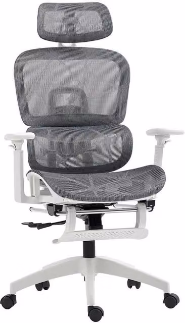 Rolipo Ergonomic Grey Mesh Office Chair with Headrest and Adjustable Seat Depth