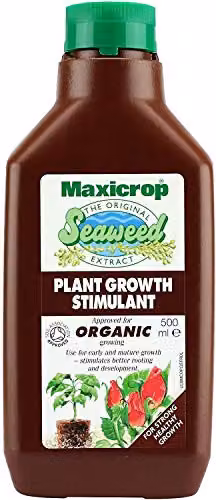 Thompson and Morgan Maxicrop Original Seaweed Extract Organic Plant Growth Stimulant, 2 x 500ml – 1