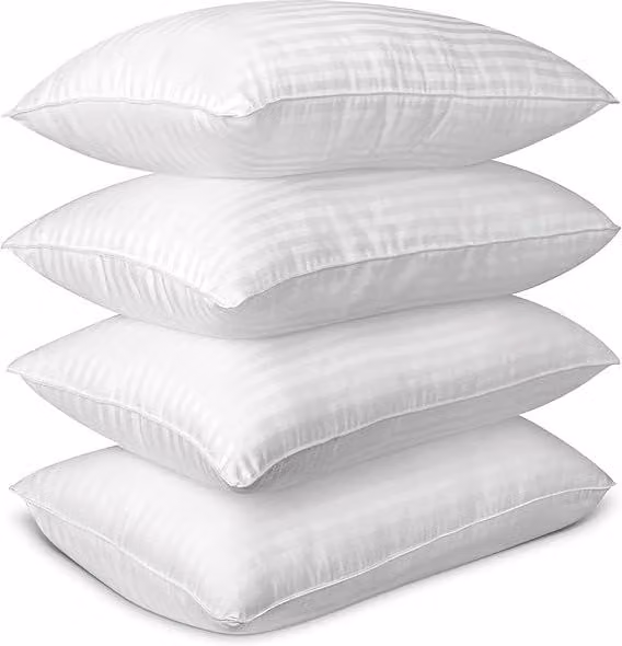 Early's of Witney Save the World 4 Pack Rectangular Pillows in White – 1