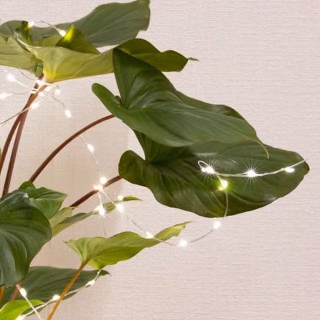 Lumineo 60 LED Micro Solar Plant Lights with Warm White LEDs and Silver Metal Wire Stake