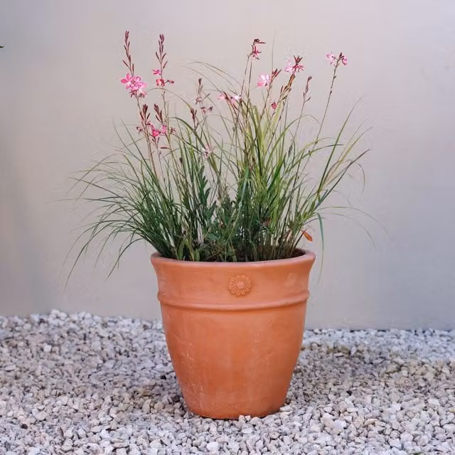 Primrose Brown Terracotta Ornamental Garden Planter Pot