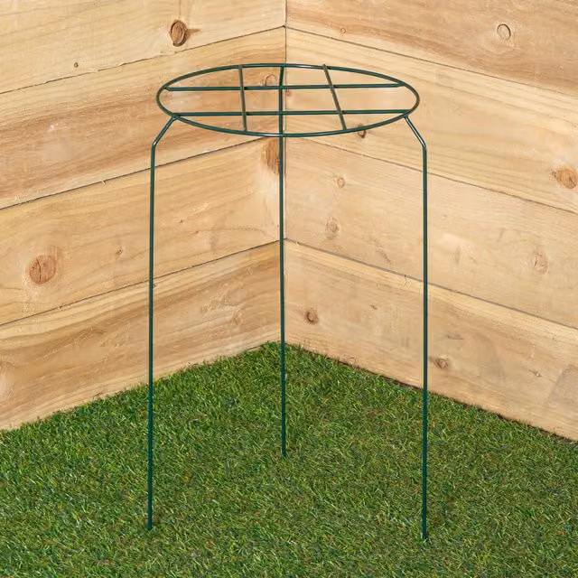 Samuel Alexander Tom Chambers Urban Dark Green Metal Herbaceous Garden Plant Support, W/D/H: 30 x 30 x 50 cm – 1