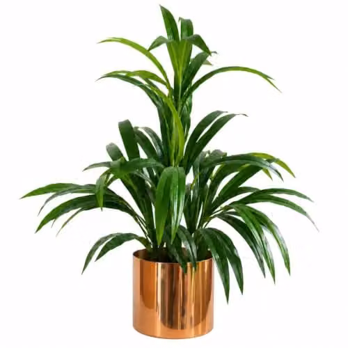 Leaf Artificial Green Bamboo Plant in a Bronze Metal Planter, Height: 65 cm – 1