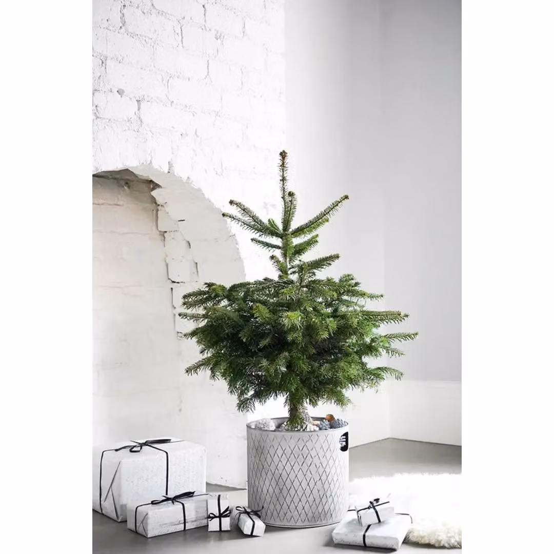 Ivyline Round Metal Indoor Zinc Planter in Grey, H: 28 cm, W: 28 cm – 2