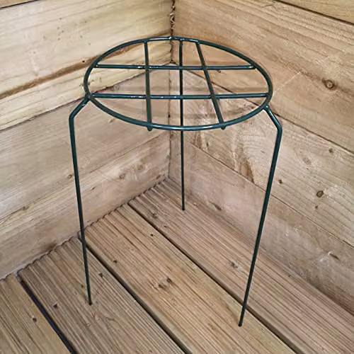 Samuel ALEXANDER Pack of 3 Metal Herbaceous Plant Supports in Dark Green, W/D/H: 20 x 20 x 40 cm – 2