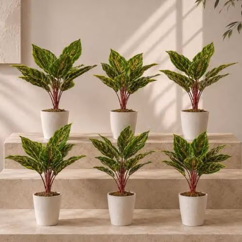 Leaf UK Pack of 6 Green Artificial Potted Calathea Veitchiane Plants, H 38 cm x W 11 cm x D 30 cm – 1