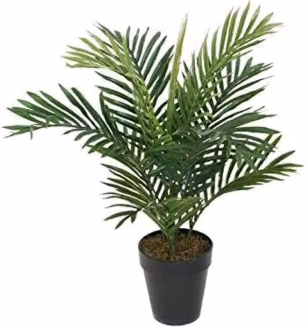 Best Artificial 2ft Areca Palm Tree, Green, Height: 60 cm
