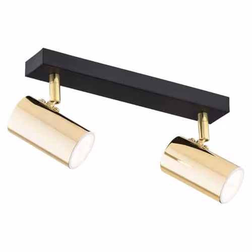 Argon18 Lagos 889 Modern Surface Mounted Spotlight in Gold/Brass with 2 x 5 W GU10 IP20 Rating