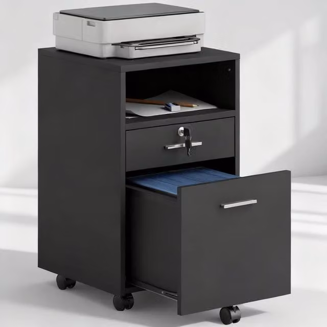 ERGOVEXA Lockable Two-Drawer Filing Cabinet with Castors, Black, W: 40.0 cm, D: 39.0 cm, H: 65.0 cm