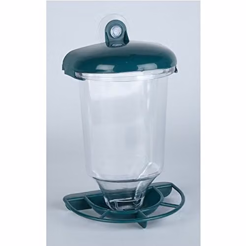 Creative Products Window Bird Feeder in Transparent and Green – 2