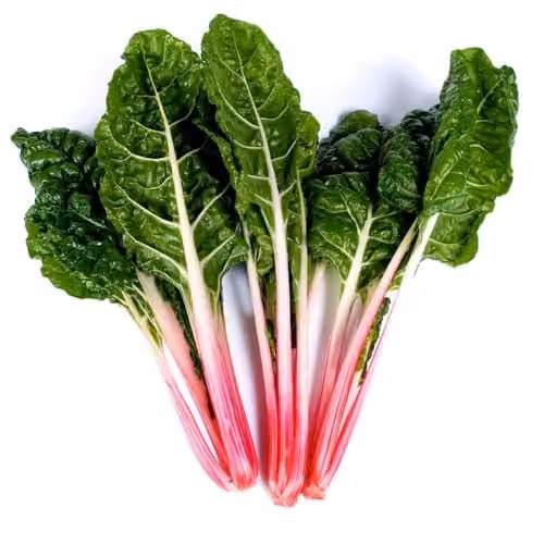 Thompson & Morgan Swiss Chard Peppermint Seeds, Multicolour Candy-Striped Edible Foliage Vegetable Seeds – 2