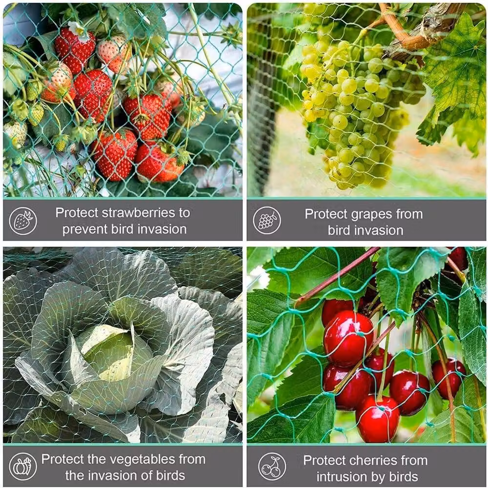 VOGREX Green Fine Mesh Garden Netting for Birds, Plants, Vegetables and Fruit – 3