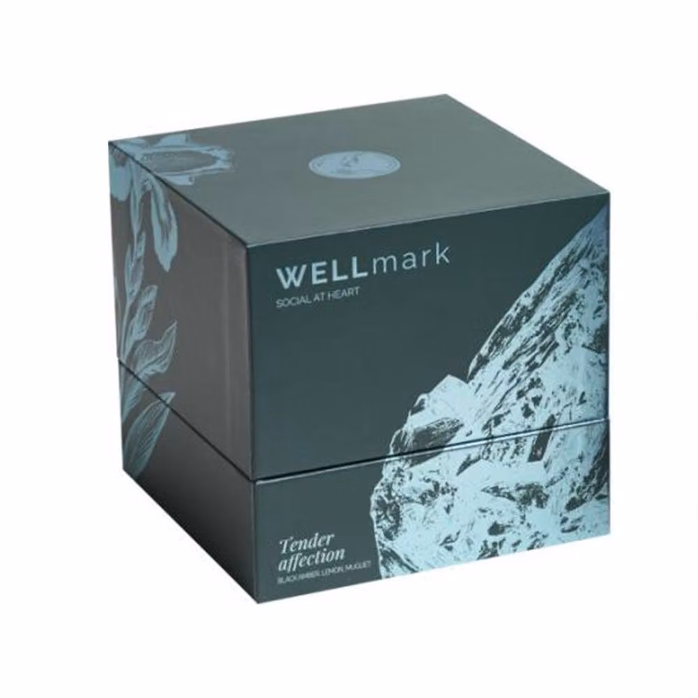 Wellmark Tender Affection Scented Tabletop Candle in Black – 2