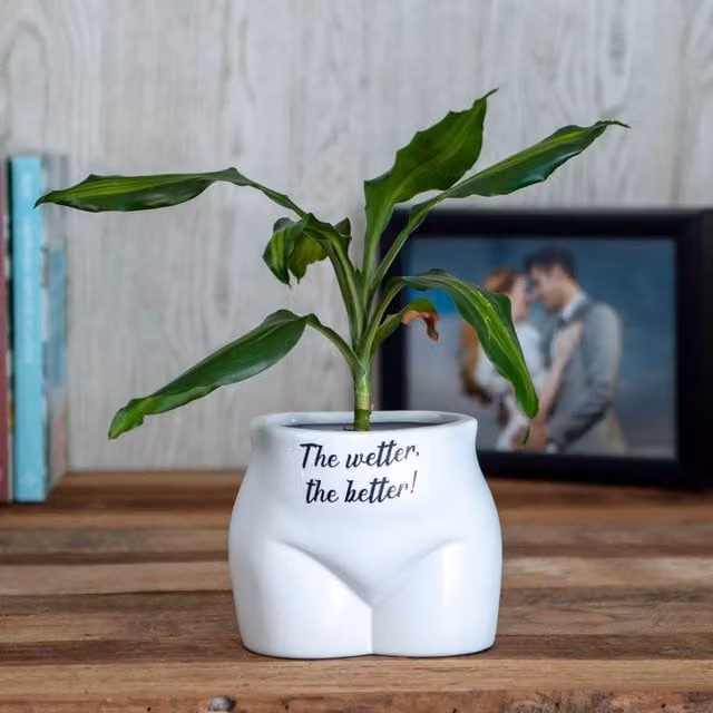 Boxer Gifts Wetter The Better Novelty Body Shaped Ceramic Planter in White and Black