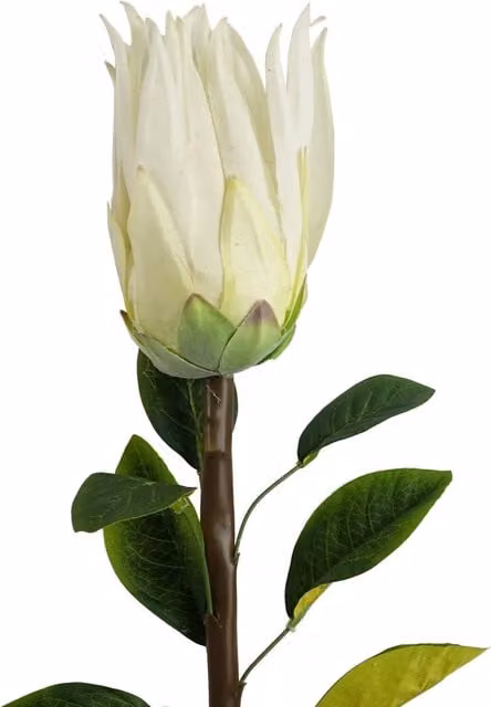 Protea Sugarbush White Artificial Flower Stem with Leaf