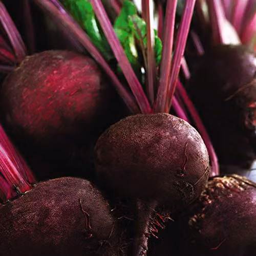 Thompson and Morgan Organic Detroit Beetroot Seeds, Purple, 250 Seeds