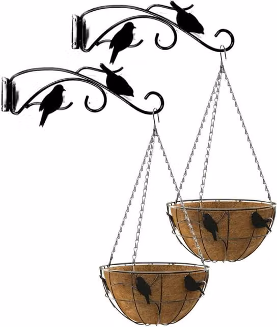 Primrose Black Perching Birds Hanging Basket and Bracket Set with Brown Coco Liner