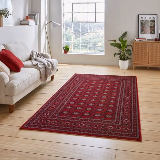 Terrys Classic Oriental Red Rectangular Living Room Rug