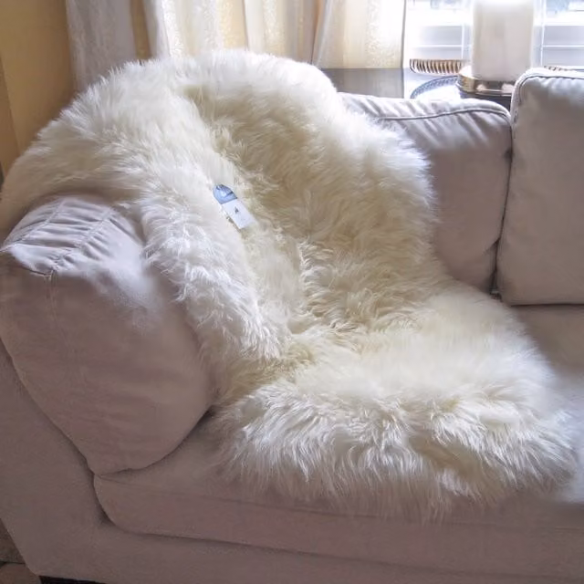 SNUGRUGS Genuine Single Pelt Sheepskin Rug in Natural, W: 66 cm, L: 120 cm