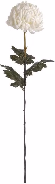 Wyld Haus Set of 3 Large White and Green Artificial Chrysanthemum Floral Stems – 1