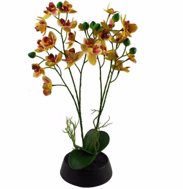 Botanik UK Artificial Orchid Potted Plant in White and Yellow Ceramic Planter