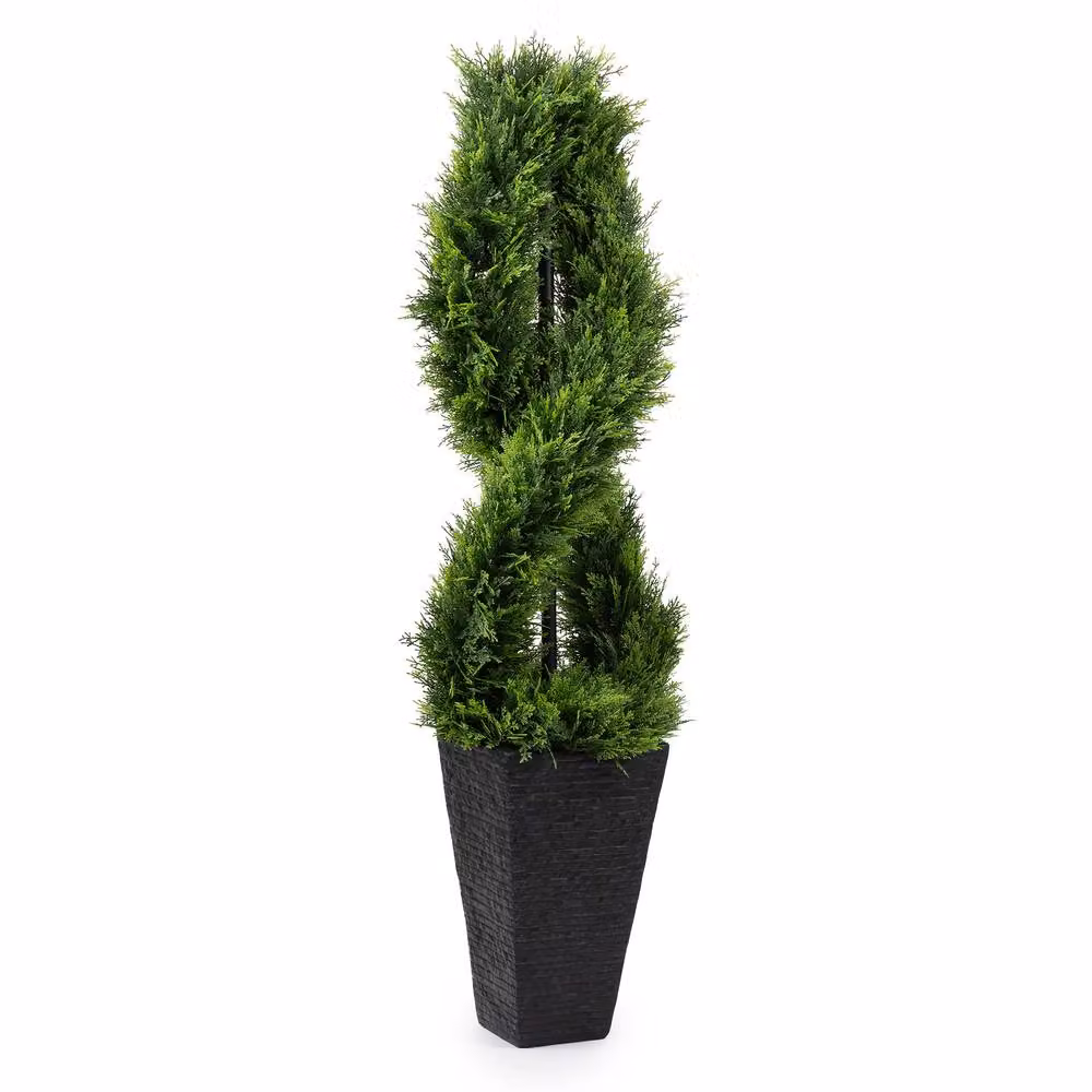 Scottish Everlastings Ltd 122 cm Twisted Cedar Topiary Tree in Green Square Pot – 3