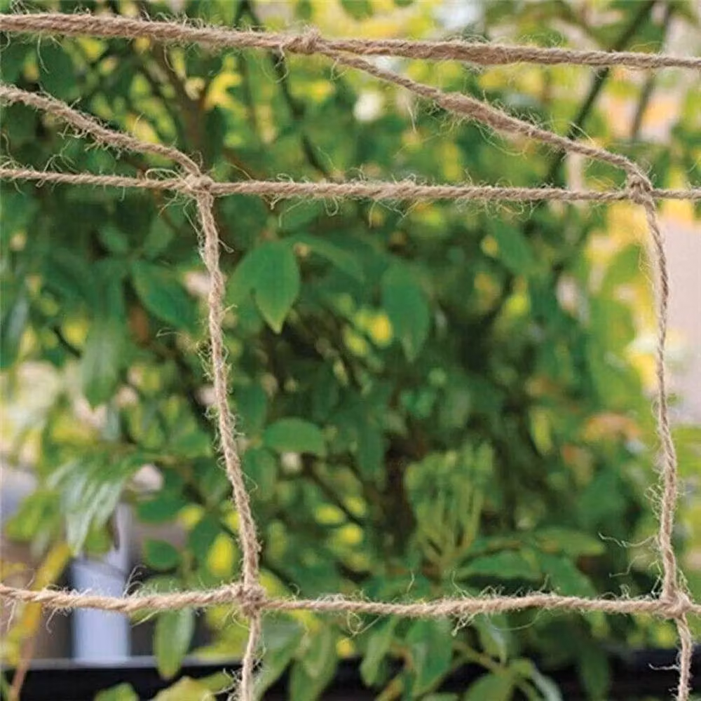 SPETLEK Natural Jute Trellis Netting for Plant Support and Climbers, Beige, W: 100 cm, H: 60 cm – 3
