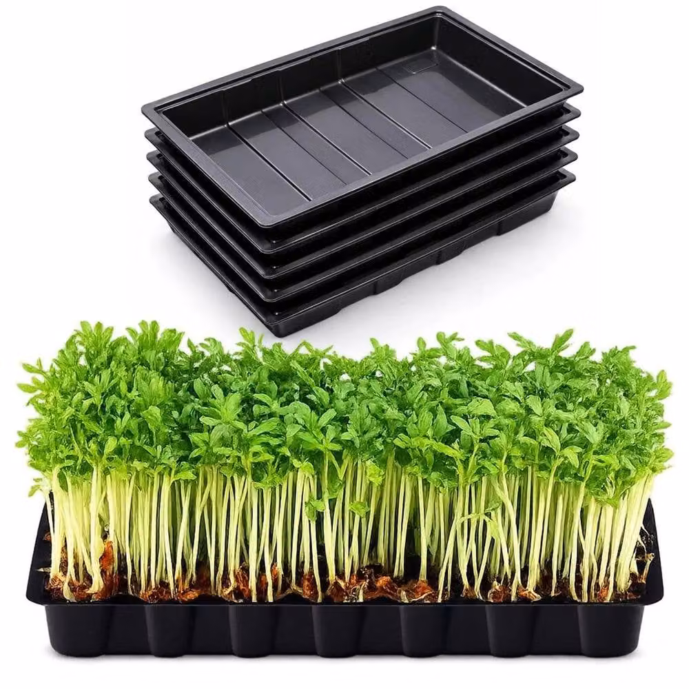 NESTLUNE 5 x Black Multipurpose Plastic Garden Seed Trays Without Holes – 2