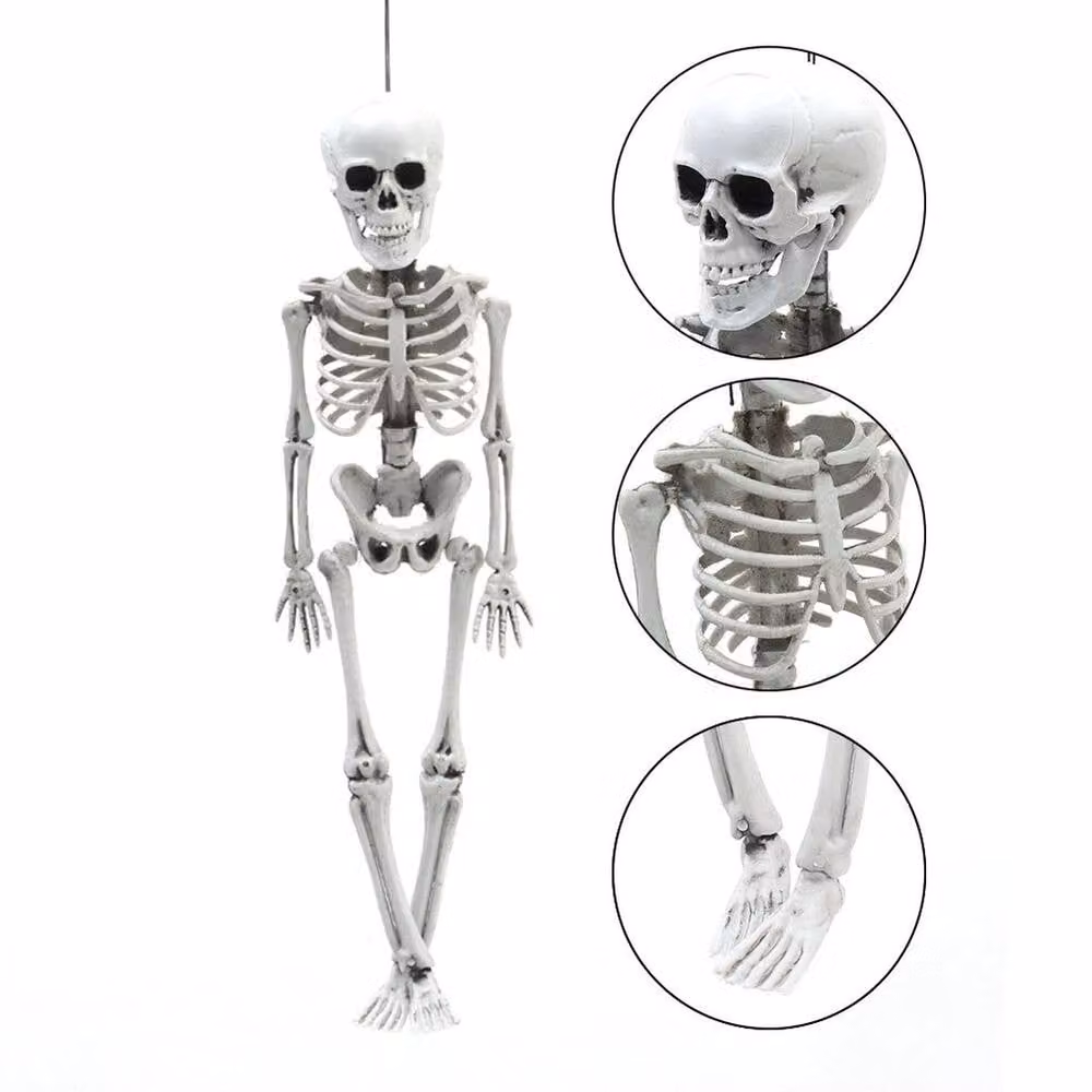 FLAVORA White Poseable Full Life Size Human Skeleton, W/D/H: 15 x 15 x 100 cm – 1