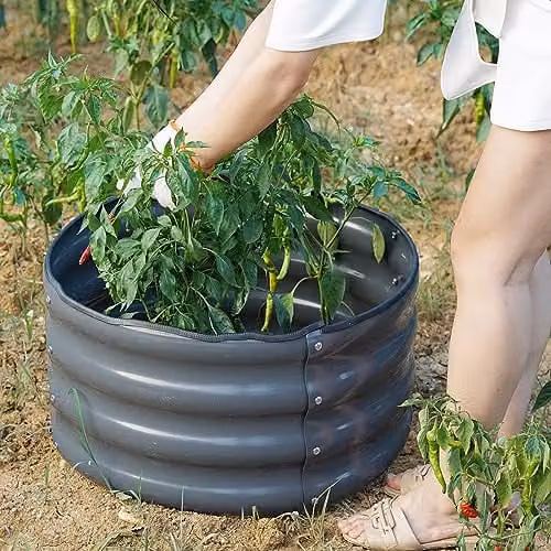 Gr8 Garden Grey Steel Round Raised Planter for Vegetables, Herbs and Flowers, W: 60 cm, D: 30 cm, H: 30 cm