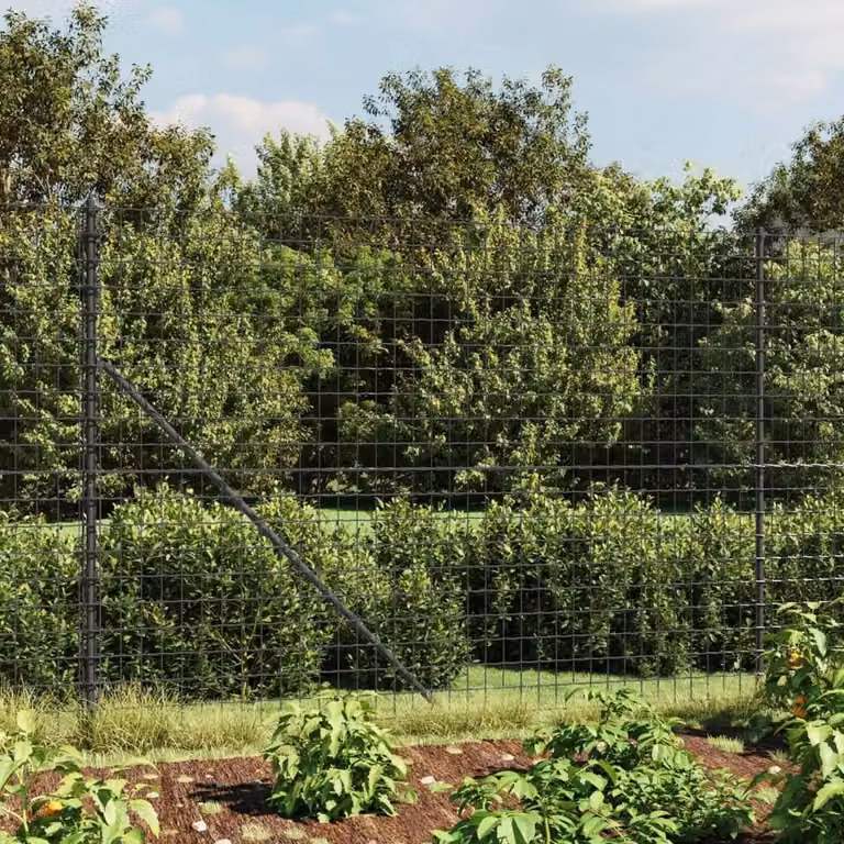 Berkfield Home Durable PVC-Coated Galvanised Steel Wire Mesh Fence in Anthracite and Black, W/H: 10 x 1.4 m