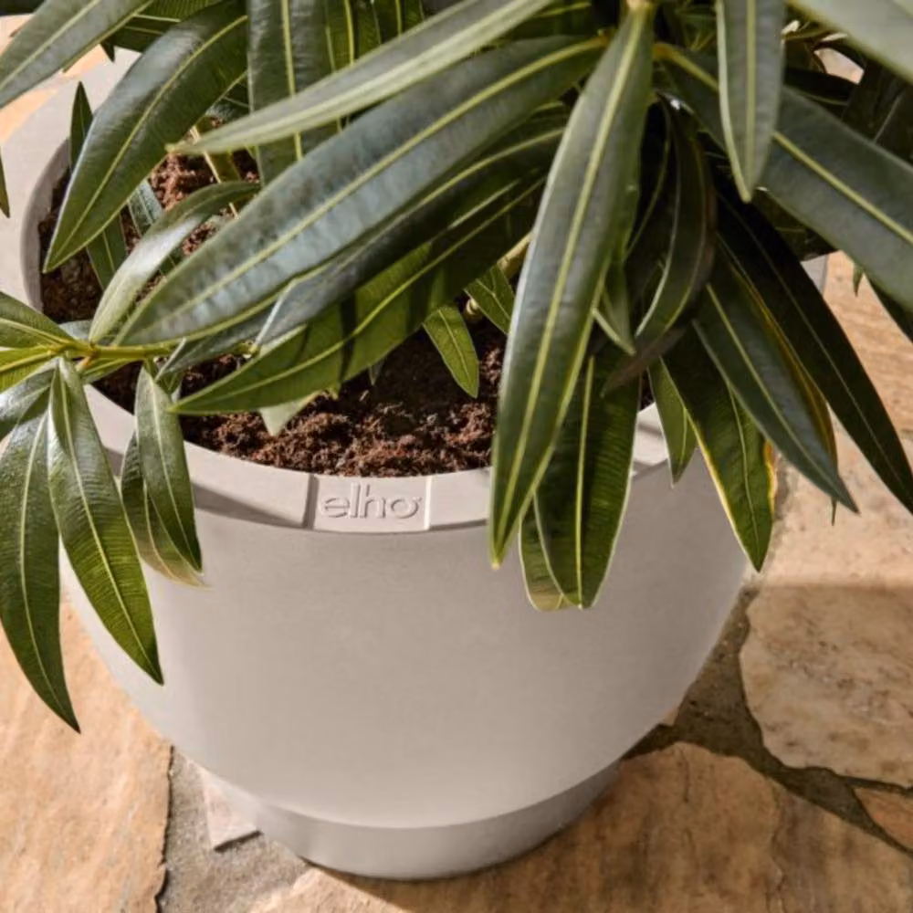 Elho Amber Coupe 41 White Indoor and Outdoor Plastic Plant Pot – 3