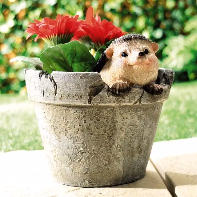 mysmartbuy Hedgehog Design Polyresin Garden Planter in Grey, H15 cm x W15.5 cm – 1