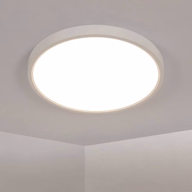 Pheashine Round LED Ceiling Light, 36W, White
