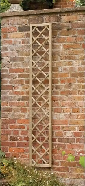 Forest Brown Wood Rebated Framed Lattice Trellis Support for Climbers, 30 cm