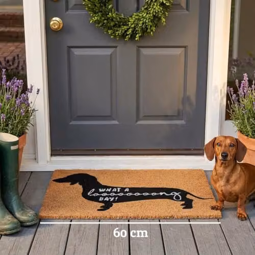 Orsina What A Long Day Sausage Dog Doormat, Humorous Coir and PVC Mat with Dachshund Print, W/D/H: 100 x 60 x 2 cm – 4