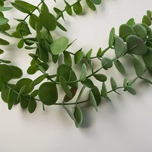 Leaf Design Multipack of 6 Green Artificial Eucalyptus Hanging Plants, Height: 80 cm – 3