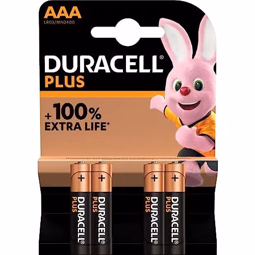 Duracell Plus Power AAA Batteries – 2