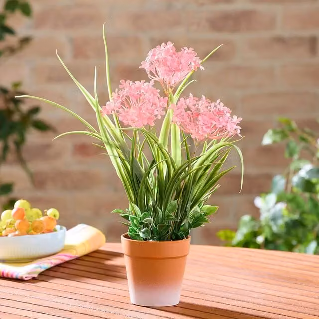 Gainsborough Faux Allium Floral Plant in a Terracotta Pot, available in Yellow or Pink